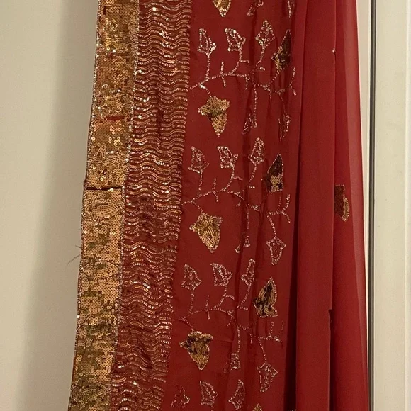 Burned Orange/light brown Sequin Saree - Picture 2 of 3